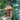 NestHaven – Nichoir en bois suspendu pour jardin