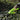 ProTrim - Cordless electric hedge trimmer with lightweight design and fast cutting
