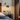 Lampe murale LED vintage en verre