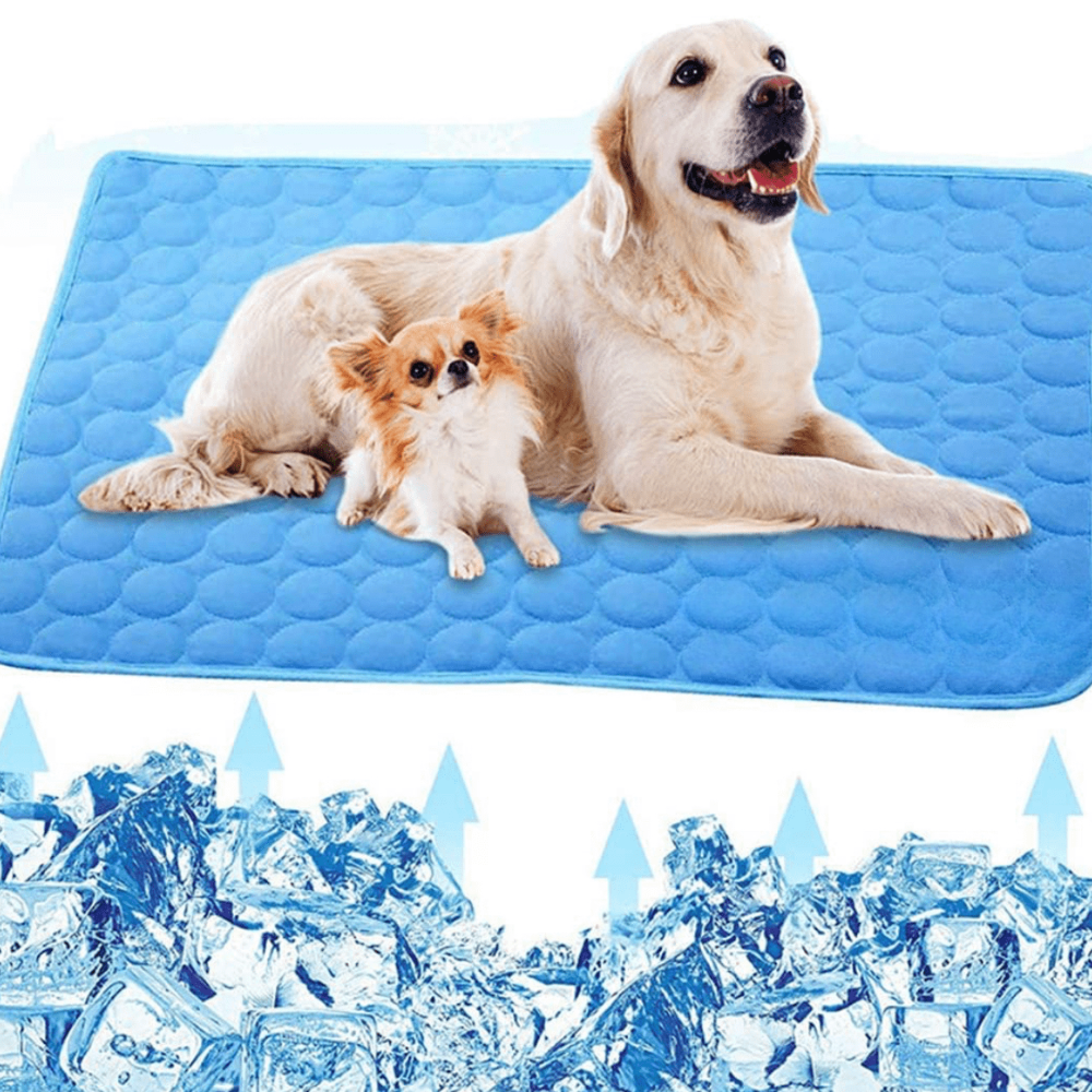 ChillPaw - Cooling Mat Tap Tapis pour animaux de compagnie activé par pression pour un soulagement de la chaleur et un confort tout au longue de la journée