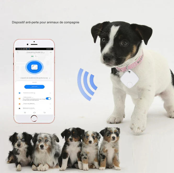PetTrack - Traceur GPS Pour Chats Et Chiens