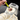 DumpliMaster - Automatic dumpling maker with hands-free operation and large capacity