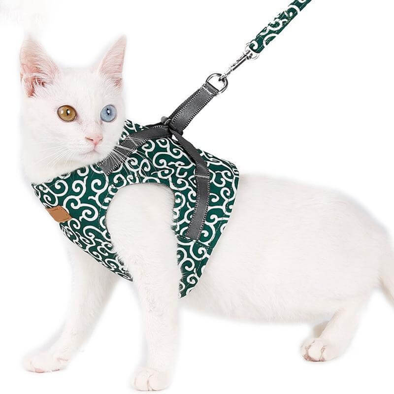 WhiskerWay - Harnais gilet pour chat pour des aventures en plein air en toute sécurité et un ajustement parfait
