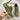 Amelia - Stylish orthopedic sneakers
